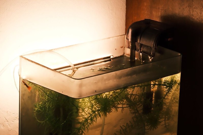 A glass aquarium tank